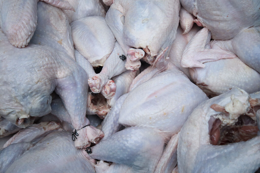 Prepared turkeys sit in a large bin
